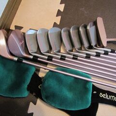 【値下げしました】レディースゴルフクラブG0lf Pｌamner一式美品キャディバック付の画像