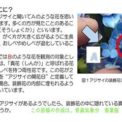 第2回「ベビーブランケット」の試作品進呈 の画像