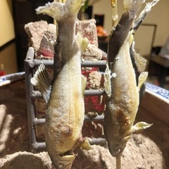 始まりました🙏