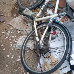 ２４自転車