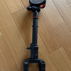 アンブレラツリーの画像