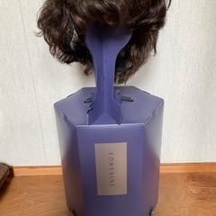 フォンティーヌ　ウィッグ