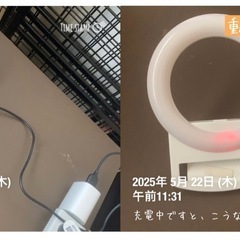 動画・配信者向け 3段階ライト