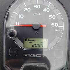 8279 ホンダ タクト 実動 良好 整備済み 原付バイク売ります！！の画像