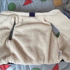 チャンピオン　まとめ売りの画像