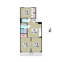 🌈🌈敷金＆礼金ゼロ🎁 フリーレント1ヶ月🌈『リバーサイド古…