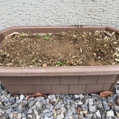 何も植ってないプランター