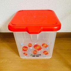箱　入れ物　台　金魚　JA