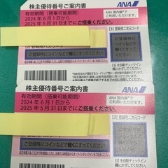 ★☆ANA 株主優待券★☆ まとめ売り　乗車券　旅行　チケット　...