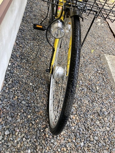 イベリス33