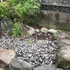 良い石かも！