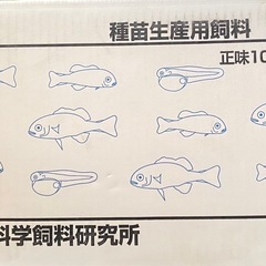 リッチB めだか　金魚　熱帯魚　エサ　大容量　200グラム　うるま市　無人販売　ゆめめだか　　の画像