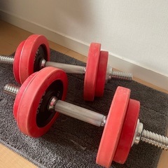 IROTECのダンベル20kg