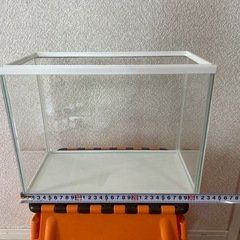 水槽