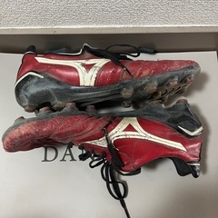 サッカースパイクの画像