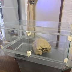 小動物用ケージ