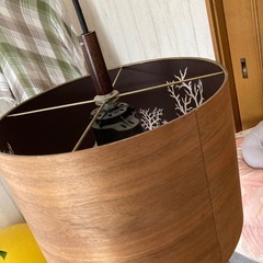 電気の画像