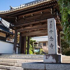 【6/22(日)開催】十念寺 お寺ヨガ（愛知県刈谷市/名鉄刈谷市駅より徒歩3分）の画像