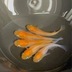 ランキングキーワードに紐づく投稿画像-メダカ