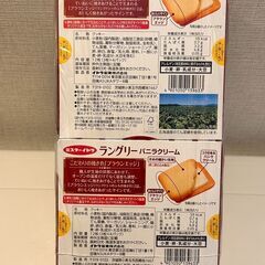 ミスターイトウ ラングリー〈バニラクリーム〉6箱セット（12枚入 × 6箱）の画像