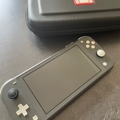 Switchライト(スティックに不具合あり)