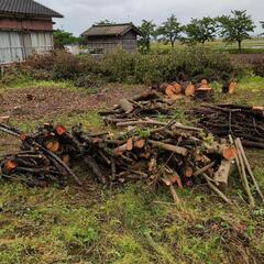 薪にどうですか？