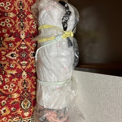 廊下のカーペット