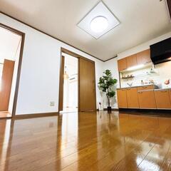 🎉敷礼無料！快適な2DK 大型ペット相談可！