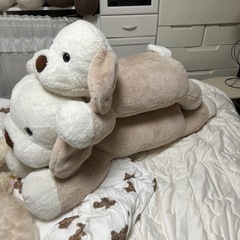特大わんちゃん、親子ぬいぐるみ　大阪市西区の画像
