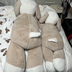 特大わんちゃん、親子ぬいぐるみ　大阪市西区の画像