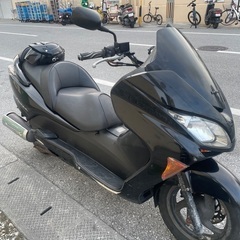 フォルツァZ (mf08)後期