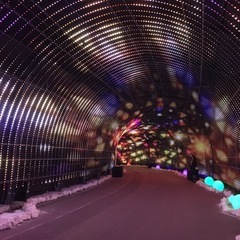 LINEグルチャ🥳岡山😺シングル