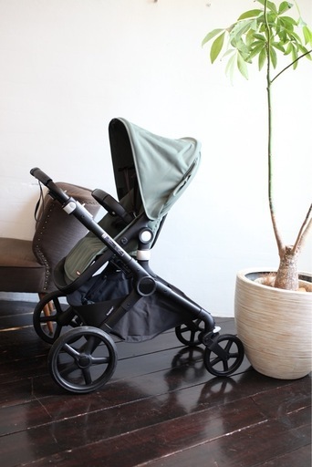 バガブー　フォックス　カブ