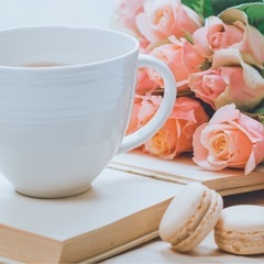 5/25広島市内で占い付きカフェ女子会開催🌼参加者募集🔮
