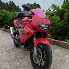 VTR1000Fファイヤーストームの画像