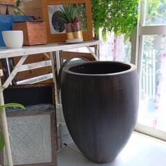 めちゃ大きな植木鉢