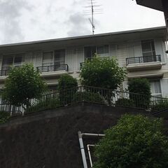 【初期ゼロ】玉川学園駅徒歩９分の激安アパート４万円!!😲【…