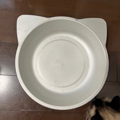 猫ひんやり　ねこ鍋