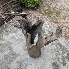 特大サイズ流木オブジェの画像