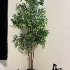 ベンジャミン　人工観葉植物　