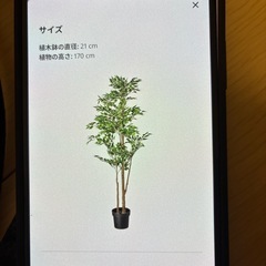 ベンジャミン　人工観葉植物　の画像