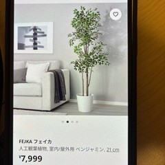 ベンジャミン　人工観葉植物　の画像