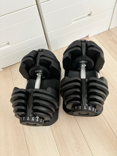 【早い者勝ち】40キロダンベル×2 室内使用　目立つ汚れなし