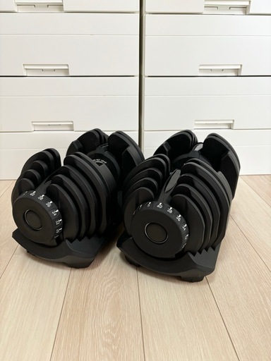 【早い者勝ち】40キロダンベル×2 室内使用　目立つ汚れなし