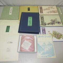 stp-3173　日本フローラルアート　押し花絵講座　教材　作品...