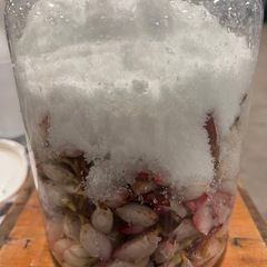 簡単に作れる発酵酵素ドリンク教室！の画像