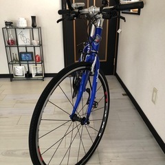 GIOS MISTLAL ミストラルの画像