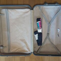 スーツケース　中型　約66×47×25ｃｍの画像