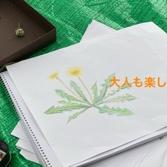 【無料】6/29(日)お絵描き会 - 育児