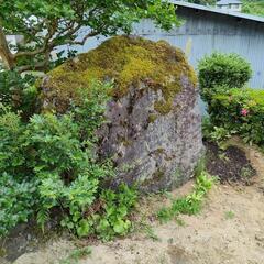 苔のある大きな庭石